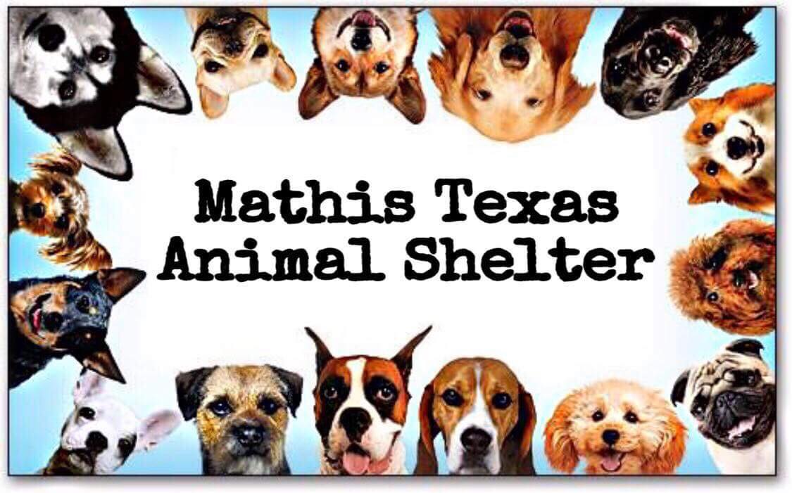 mathis animal shelter